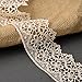 Ivory Vintage Guipure Venise Lace Cluny Lace Trim, 2-1/8 Inch by 1 Yard, STEP-3819