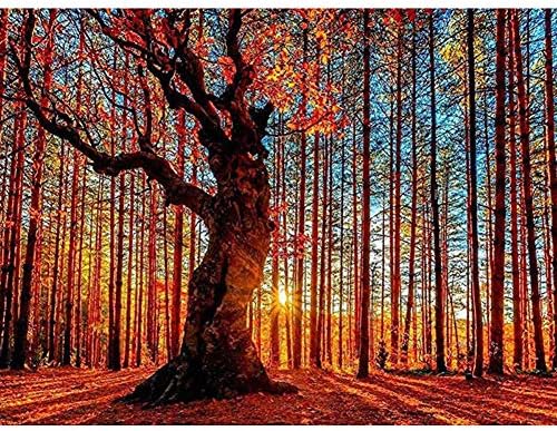 DIY 5D Diamond Painting by Number Kits, Crystal Rhinestone Full Diamond Embroidery Pictures Arts Craft for Home Wall Decor (Pattern F)