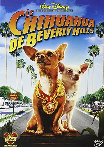 Le Chihuahua De Beverly Hills