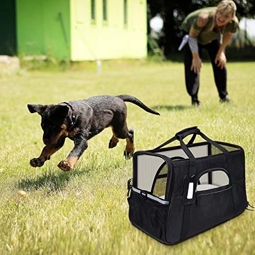 GDPETS Pet Carrier, Airline Approved Cat Carrier Bag for Small& Medium Sized Animal, Soft-Sided Pet Travel Tote with Fleece Bed, Portable Dog Carriers Hold Up to 10lbs and Fit Under Seats - Thumbnail 7