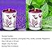 Humbgo Scented Candles Pack 6 Aromatherapy Set of Fragrance Soy Candles, Gardenia, Lemongrass, Pine, Vanilla, Lavender, Peppermint Soy Candle Wax for Stress Relief