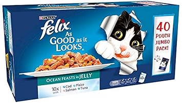 puppy identity collars