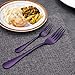 20-Piece Stainless Steel Flatware Set,Tableware Set,Dinnerware Set Service for 4, Include Knife/Fork/Spoon/Teaspoon/Fruit fork (Purple)