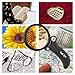 The multipurpose magnifier with light for professionals & collectors | 4 magnification modes | up to 55x magnification | scratch-resistant magnifying glass | for reading, coin, stamp & rock collecting