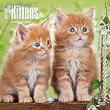 I Love Kittens 2016 Wall Calendar