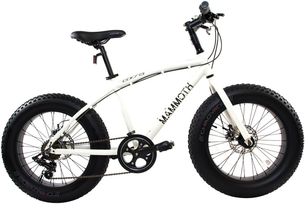 mammoth fat bike