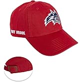 Desert Cactus Stony Brook University Baseball Hat Seawolves Seawolf Brimmed Embroidered Hats Cap Adjustable Cloth Strap Adult (Style D) Red