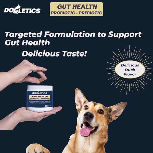 DOGLETICS GUT HEALTH PROBIOTIC & PREBIOTIC – 90CT SUPPORT STOMACH MICROBIOME, PREVENT DIGESTIVE PROBLEMS, REDUCE ANAL GLAND ISSUES, IMPROVE IMMUNE FUNCTION AND OVERALL ENERGY