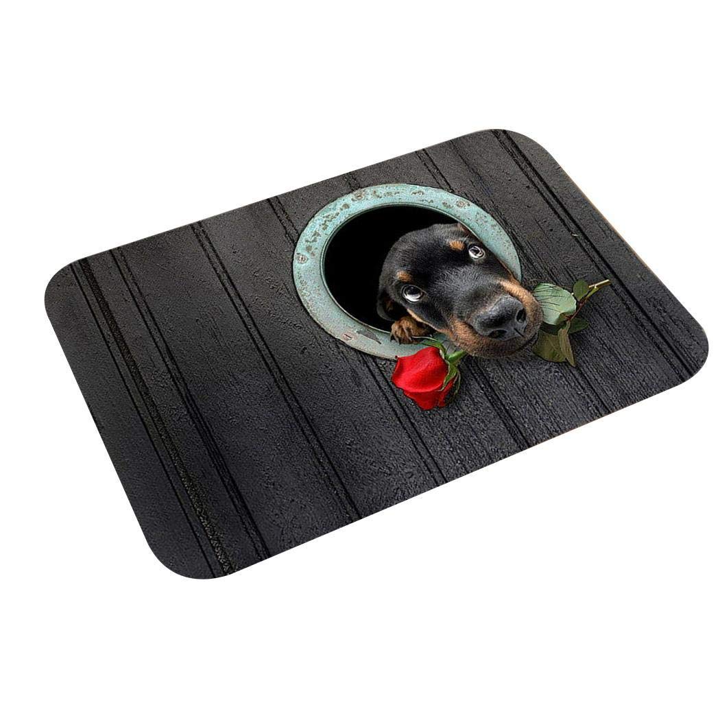 Junio1 Nuevo hogar, baño, Dormitorio, Felpudo, Piso, alfombras Antideslizantes Suaves Alfombras