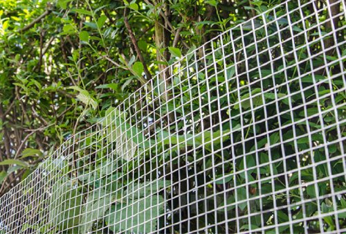 NIEDERBERG METALL 25m x 100cm Volierendraht - Verzinkt 19x19mm - Maschendrahtzaun Kaninchendraht – Bild 7