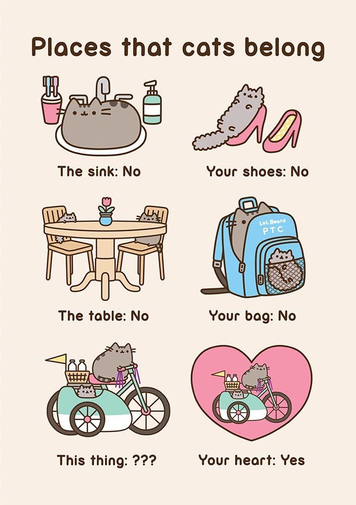 Pusheen The Cat Places That Cats Belong Greeting Card