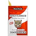 Spicy Citrus Flavored Cinnamon Toothpicks - 100ct