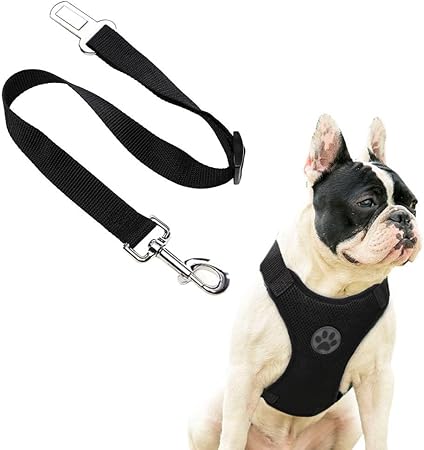 amazon uk dog car harness