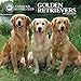 American Kennel Club Golden Retrievers 2018 Wall Calendar