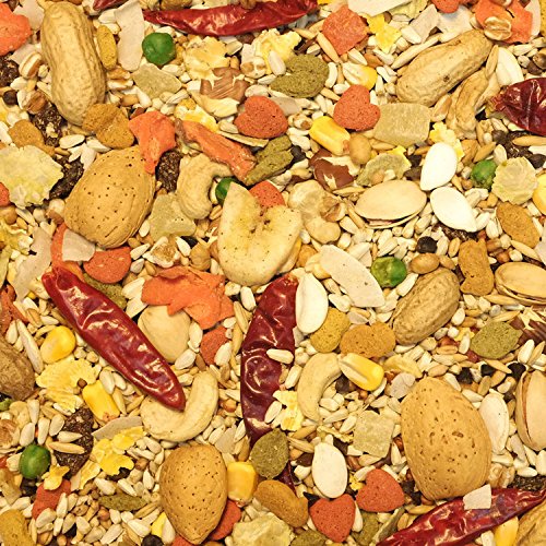 HIGGINS Safflower Gold Food for Parrots, 25-Pound