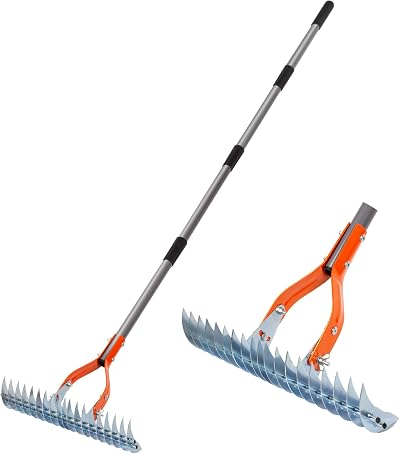 Walensee 15-Inch Thatch Rake with Adjustable Handle, Heavy Duty Steel