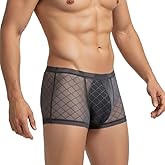 YINYOUYU Mens Sexy Ice Silk Underwear See Through Boxers Super Thin Sheer Trunk Bulge Pouch Boxer Briefs