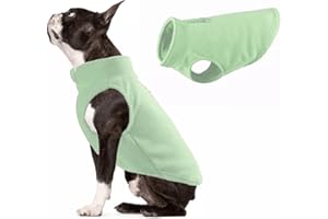 JACKO & CO - Fleece Vest Sweater with Leash Ring - Soft Lightweight Breathable for Puppies Small Medium Dogs, Kitten, Cats, Chihuahua - Warm for Fall/Autumn/Winter (Mint Green, Large 10-16lbs)