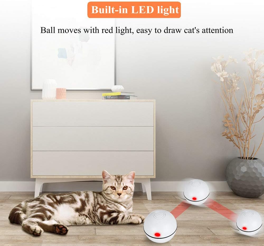 Pakoo Interactive Cat Toys Ball, Smart Automatic Rolling Kitten Toys, USB Rechargeable Motion Ball + Spinning Led Light with Timer Function, The Best Entertainment Exercise Gift for Your Kitty : Kitchen & Dining