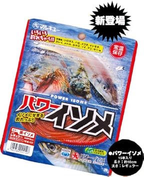 青イソメ 保存