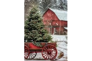 DOTSTART Diamond Art Kits for Adults,Christmas Tree Diamond Paintings Kits for Beginners,5D DIY Winter Red Wooden House Paint by Diamonds,Full Drill Diamond Dot Gem Art Painting,Home Wall Art Decor11.8X15.8