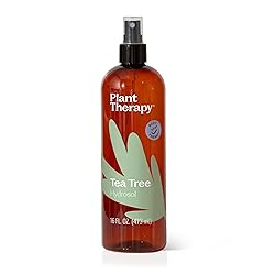 Plant Therapy Tea Tree (Melaleuca) Hydrosol 16 oz