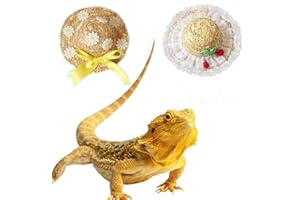 HAICHEN TEC 2 Pack Bearded Dragon Hats Handmade Rattan Headwear Reptile Apparel Accessories Lizard Caps for Small Animals