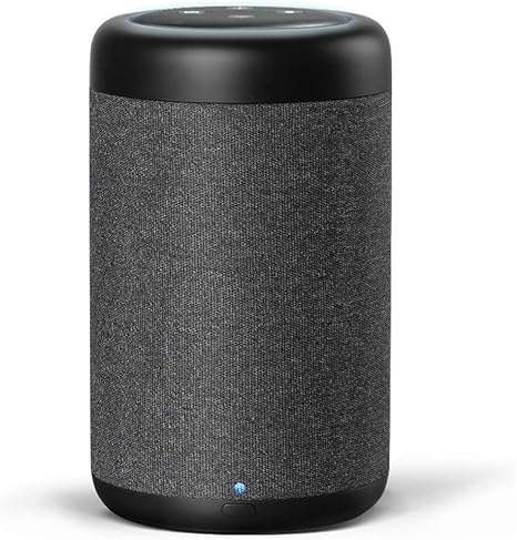 battery smart speaker