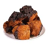 500 Gram Siberia Pure Natural Premium Inonotus