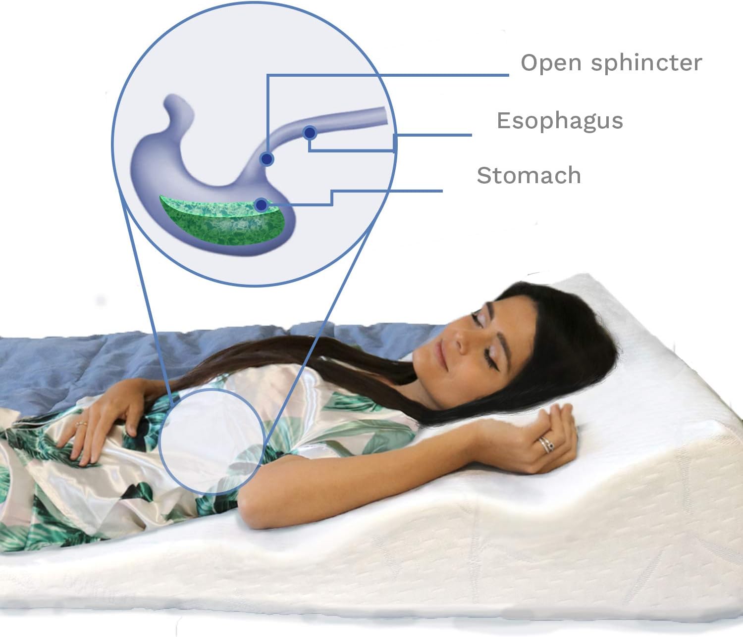 Back Support Systems Bed Wedge for Acid Reflux. One-inch Premium Memory Foam. Helps Relieve GERD, Circulation & Breathing Issues, Back & Hip Pain. (Large 38" Width): Kitchen & Dining
