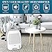 Afloia Dehumidifier for Home 52oz(1500ml) Capacity Ultra Quiet for 2200 Cubic Feet (250 sq ft) Portable Dehumidifiers for Bathroom, Bedroom, Dorm Room, Baby Room, RV