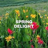 Air Wick Spring Delight Automatic Air Freshener Refills 250ml Pack 4 view 2
