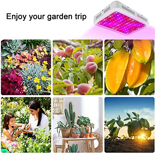 LED Grow Light 1000w,Full Spectrum LED Plant Growth Light, efficiently