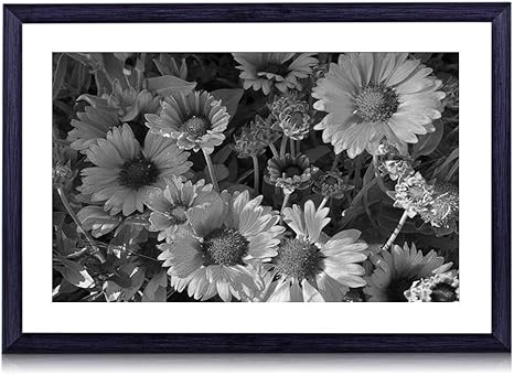 Amazon Co Jp ガーベラ 花 白黒の絵画 装飾画 壁飾り アートパネル インテリアアート 木製の枠 壁ポスター モダン 現代壁の絵 額縁付きの完成品 横 40 60cm ホーム キッチン