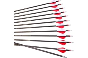 6/12pc Custom Length Carbon Arrows Spine 300 350 400 500 600 700 800 Removable Tips 2" Vane Plastic Fletching Targeting Hunti