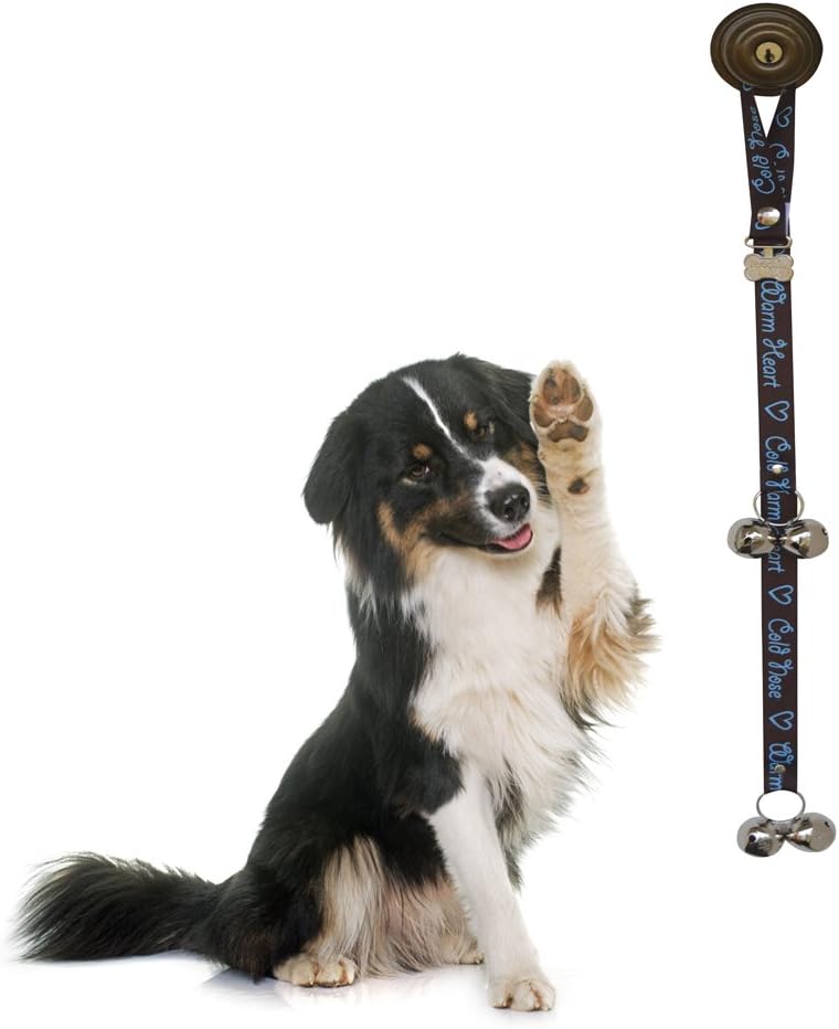 PoochieBells Housetraining Dog Doorbell, Chocolate Brown Cold Nose Warm Heart Word Design