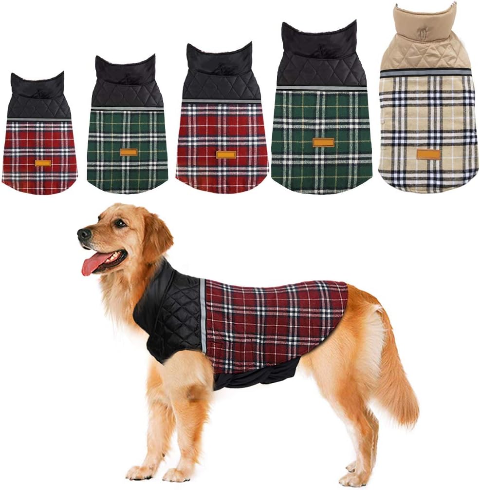 dog jackets for winter