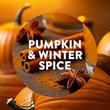 Air Wick Pumpkin & Winter Spice Plug In Diffuser Kit 1 Device 1 Refill 19 ml view 2