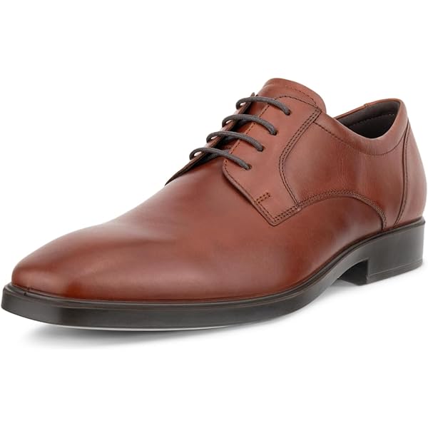 Amazon.com | ECCO Men's Helsinki 2.0 Double Gore Chelsea Boot