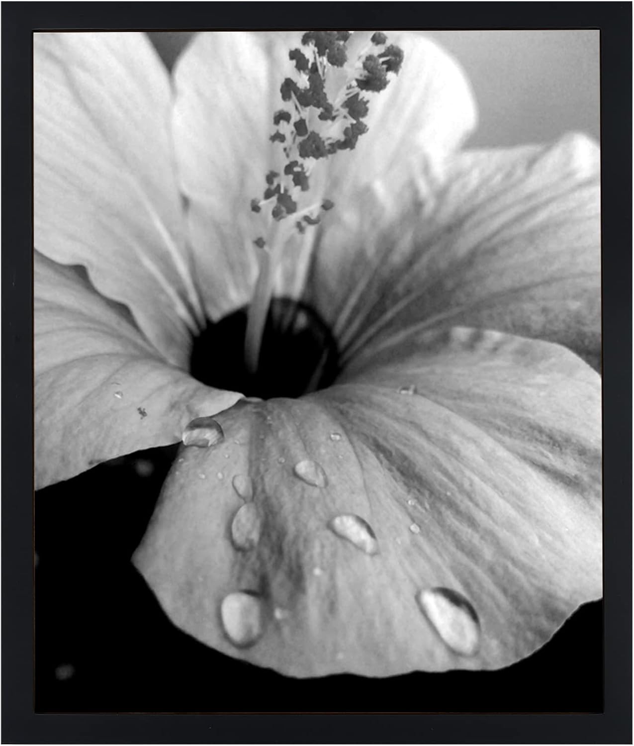 Photo Albums, Frames & Accessories - 14x17 Black Picture Frames Display Poster Frame Without Mat Solid Wood Photo Frame Non Glass Front Wall Hanging Decor Home Decoration-14x17 Black