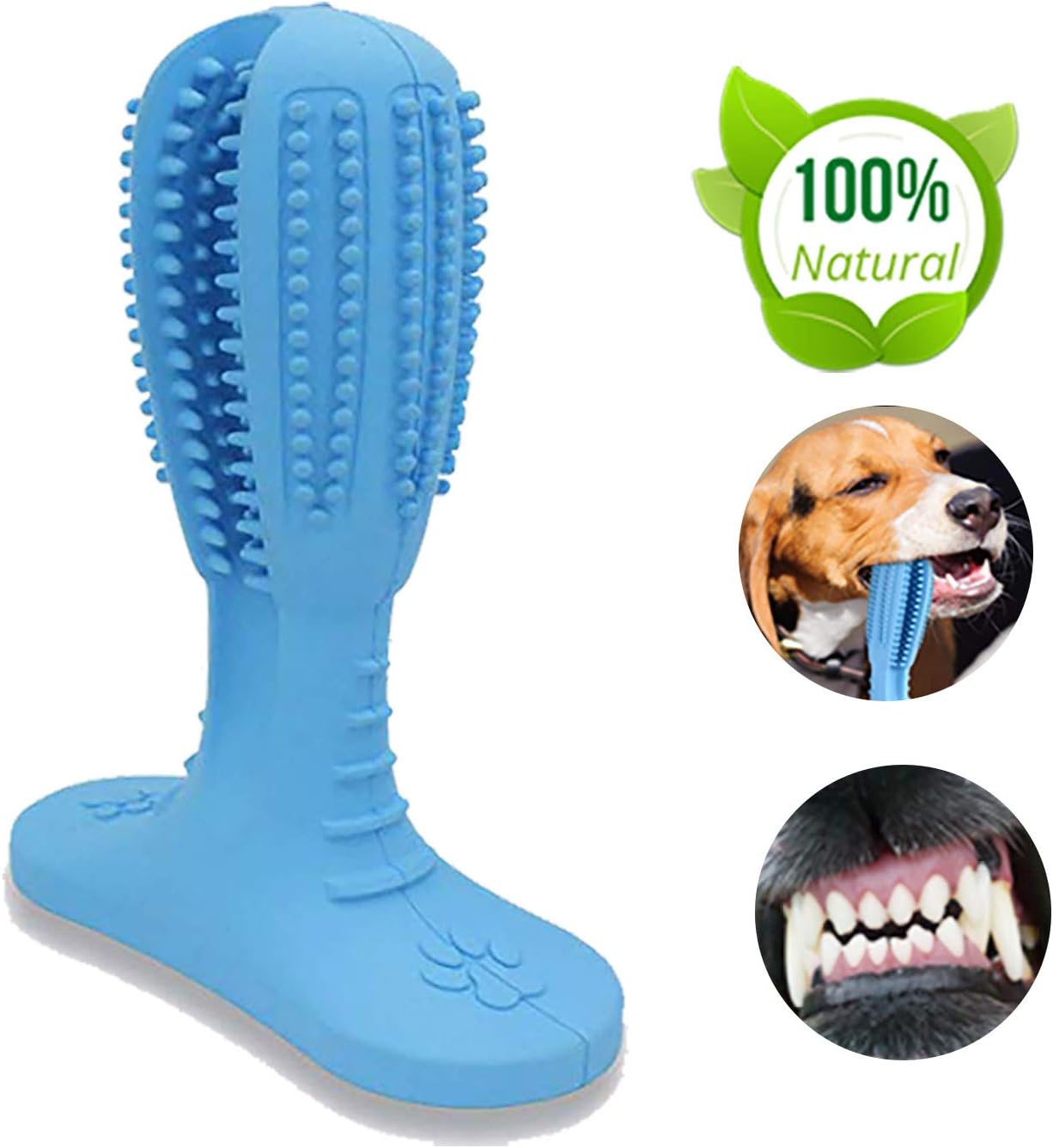 LAROSA MEDICAL Dog Chew Toothbrush - 2019 Upgraded Dog Toothbrush Toy - Safe, Non-Toxic and Durable Dog Toothbrush Stick - Best Dog Toothbrush