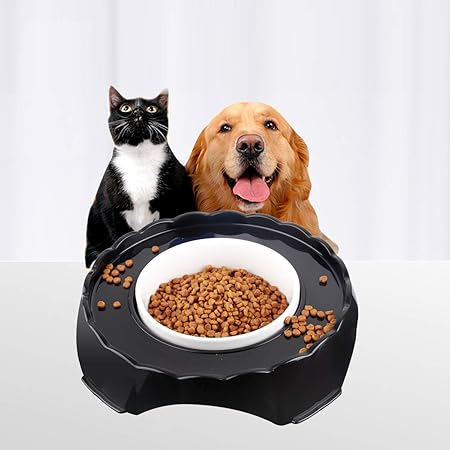 no spill dog food bowl