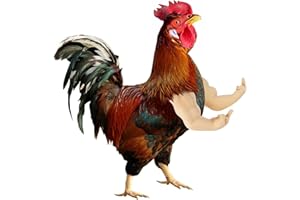 YUKEI Chicken Arms for Hens – Fun, Durable, Artificial Muscle Arms Toy – Perfect for Parties, Photoshoots and Pranks