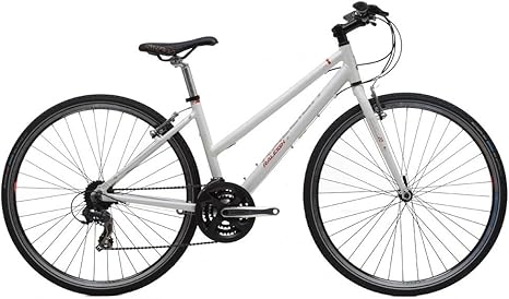 raleigh strada 1 mens hybrid bike