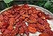 Three Squirrels, Dried Whole Ghost Chilies Peppers, Ghost Peppers, More than 1 million SHUs, Hottest Chili, Approx. 60 Pods, 2 oz.