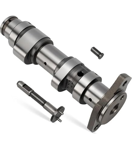 Amazon.com: WQSING Camshaft 14100-007-0000 Compatible with Hisun