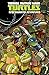 Teenage Mutant Ninja Turtles: New Animated Adventures Omnibus Volume 1 (TMNT NAA Omnibus)
