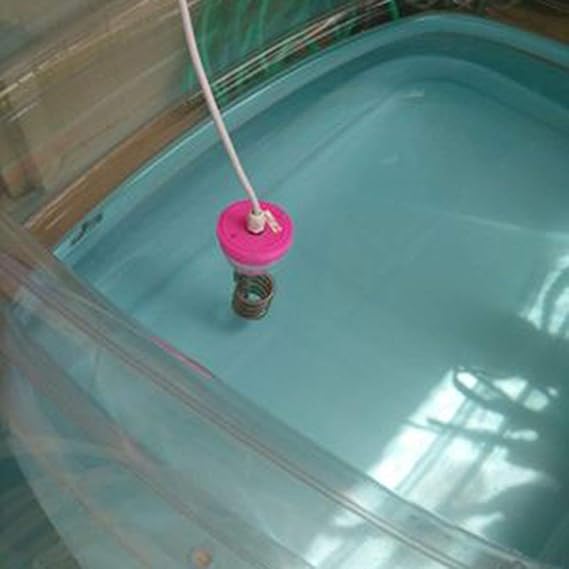2000W bañera bañera Calentador de Alta Potencia Caldera de Agua ...