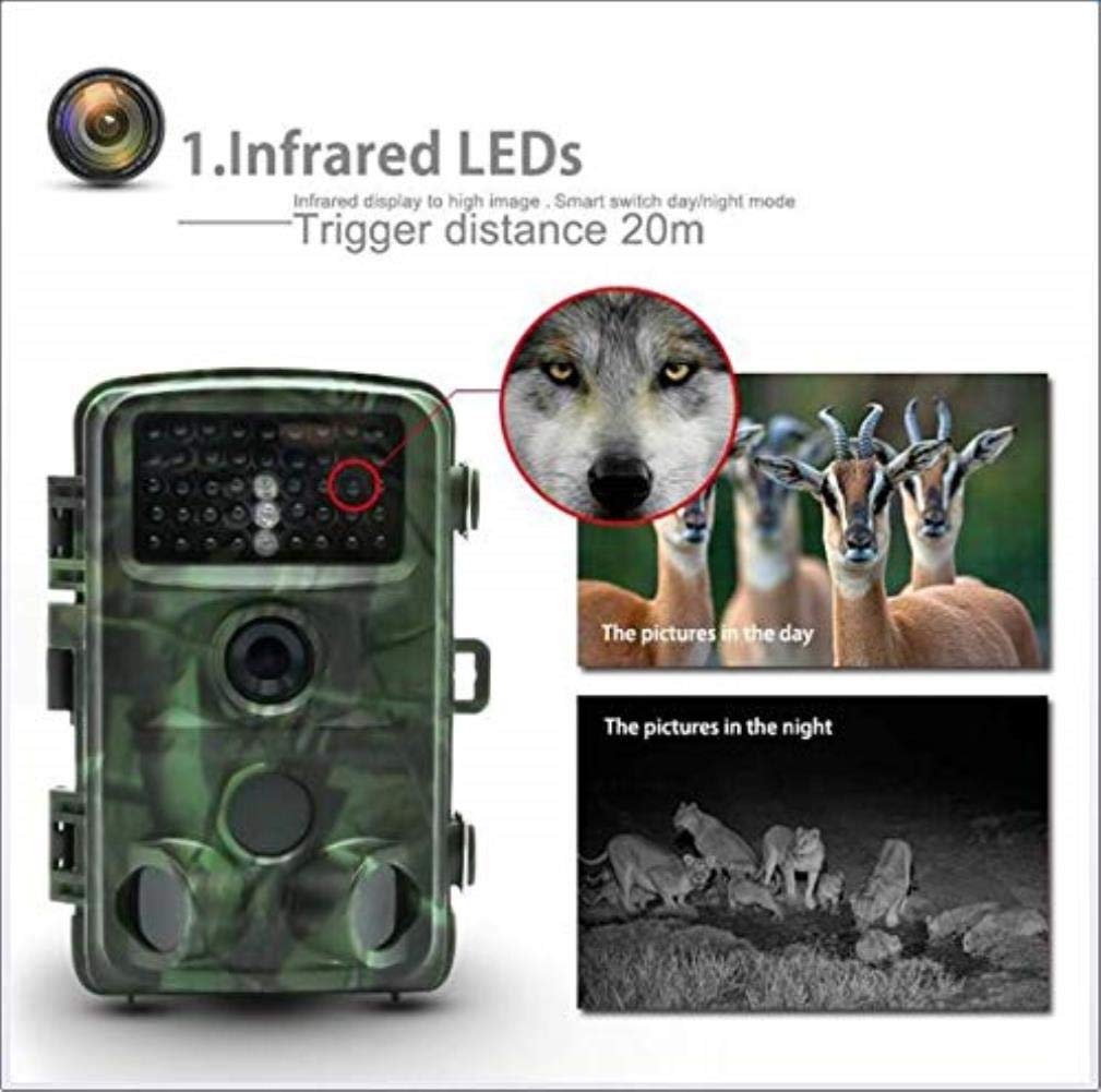 新品即決 野生生物の道のカメラ Hd 1080 P 12mp狩猟用カメラリモートモニタリングナイトビジョンモーション検出超ロングスタンバイip56防水 B07q8v8vxc 海外輸入 Www Irispicture De