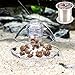 Senzeal Snail Trap Plastic Trap Hands on Catcher with Fishing Line for Aquarium